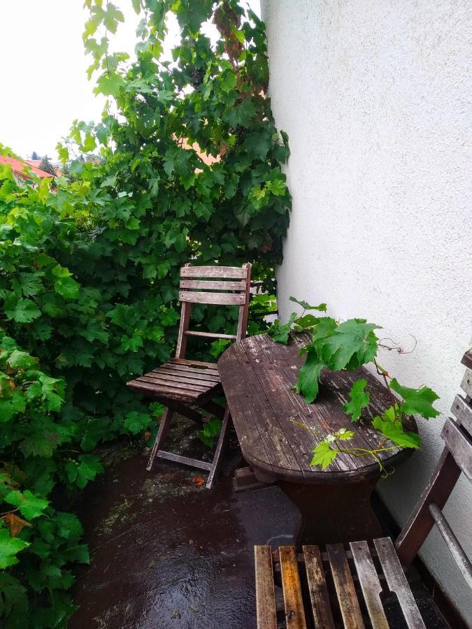 Apartment Telc Hradecka Екстериор снимка